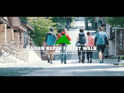 Daisen beech forest walk 大山ブナの森ウォーク