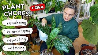 A Long + Gentle Afternoon of REALISTIC Plant Chores 🌱