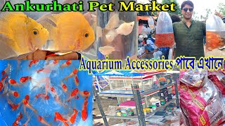 অঙ্কুরহাটির রঙিন মাছের হাট | Ankurhati Pet Market Howrah | Pet Market Ankurhati | Pet Market