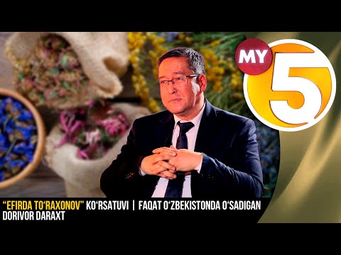 “Efirda To'raxonov” ko‘rsatuvi | Faqat O‘zbekistonda o‘sadigan dorivor daraxt