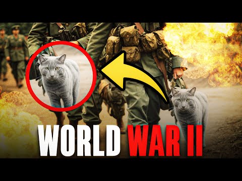 The Insane History Of The Russian Blue Cat