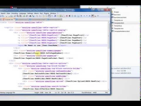 DNNUserFiles: Template Localization Demo - part 2