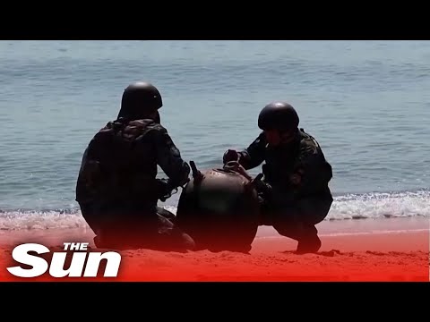 Ukrainian bomb squad remove huge mines from former tourist beach