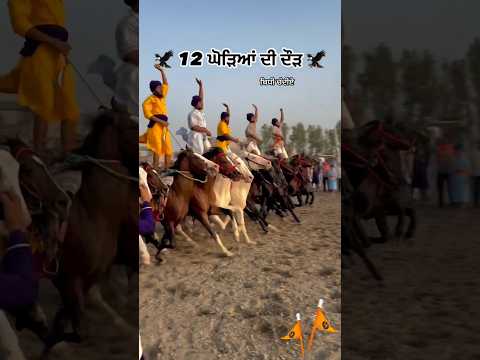 12 Horses Race  together | Nihang Singh khalsa faujja