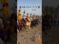 12 Horses Race Together Nihang Singh Khalsa Faujja