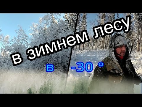 В зимнем лесу в  -30°.In the winter forest at -30°