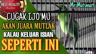 Download lagu Cucak ijo gacor tembakannya bikin merinding,mantap mp3