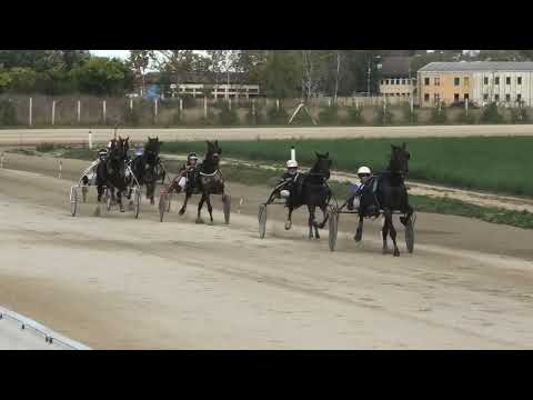 Sombor-22.10.2023, Amsterdam JMH & V. Pribić