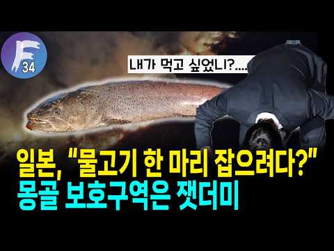 일본 반응, 일본으로 치면 시레토코나 시라카미 산지 같은 곳이 외국인 때문에 사라진 셈