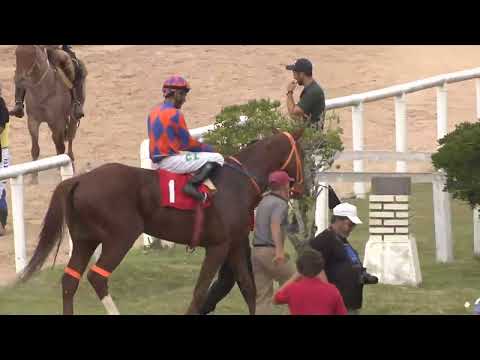 SINT MELO 251129 c09 - COCOLICHE