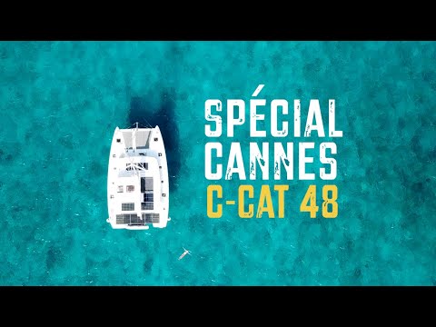 C-Cat 48