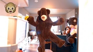 "Thrift Shop" - Macklemore (Cover) Rock Version