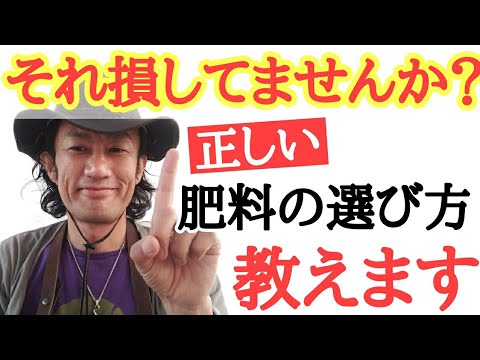 牡丹の肥料：春に適用する最も効果的な天然物は次のとおりです。  庭園
