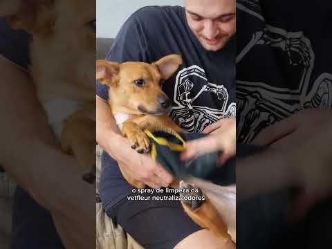 Loção de Limpeza para Patas e Corpo | Cães e Gatos