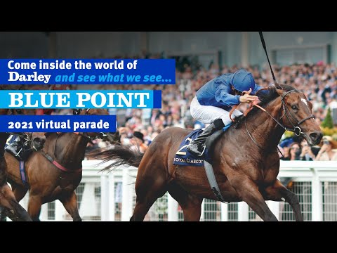 2021 Darley Australia Stallion Parade - Blue Point