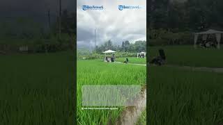 Objek Wisata Tengah Sawah yang Estetik, Svargabumi Tawarkan 30 Spot Foto Instagramable