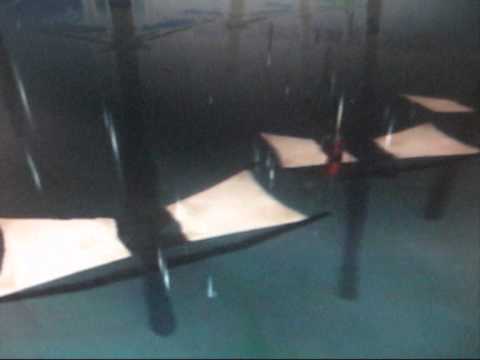 Scooby Doo Night Of 100 Frights-Wreck On The Deck (Part 2)