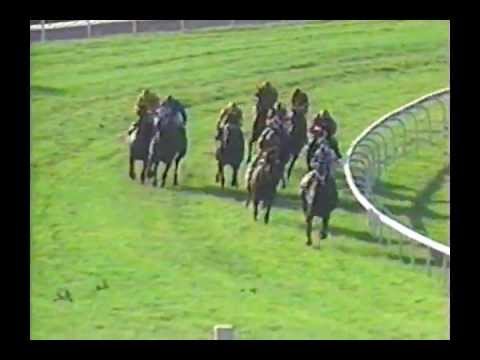 1989 Del Mar Derby - Hawkster