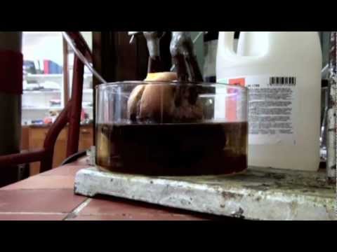 鹽酸中的芝士漢堡（僅有反應）。 (Cheeseburger in Hydrochloric Acid (reaction only))