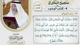 [244] حديث: أتيت النبي فوجدته يستن بسواك بيده [كتاب الوضوء - باب السواك] - عثمان الخميس