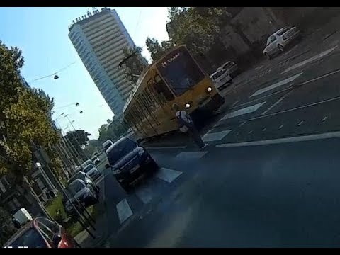 Villamos és a zebra - Tram and the zebra crossing