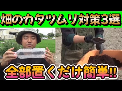 カタツムリやナメクジを追い払うにはどうすればいいですか？植物を救うおばあちゃんの治療法  庭園