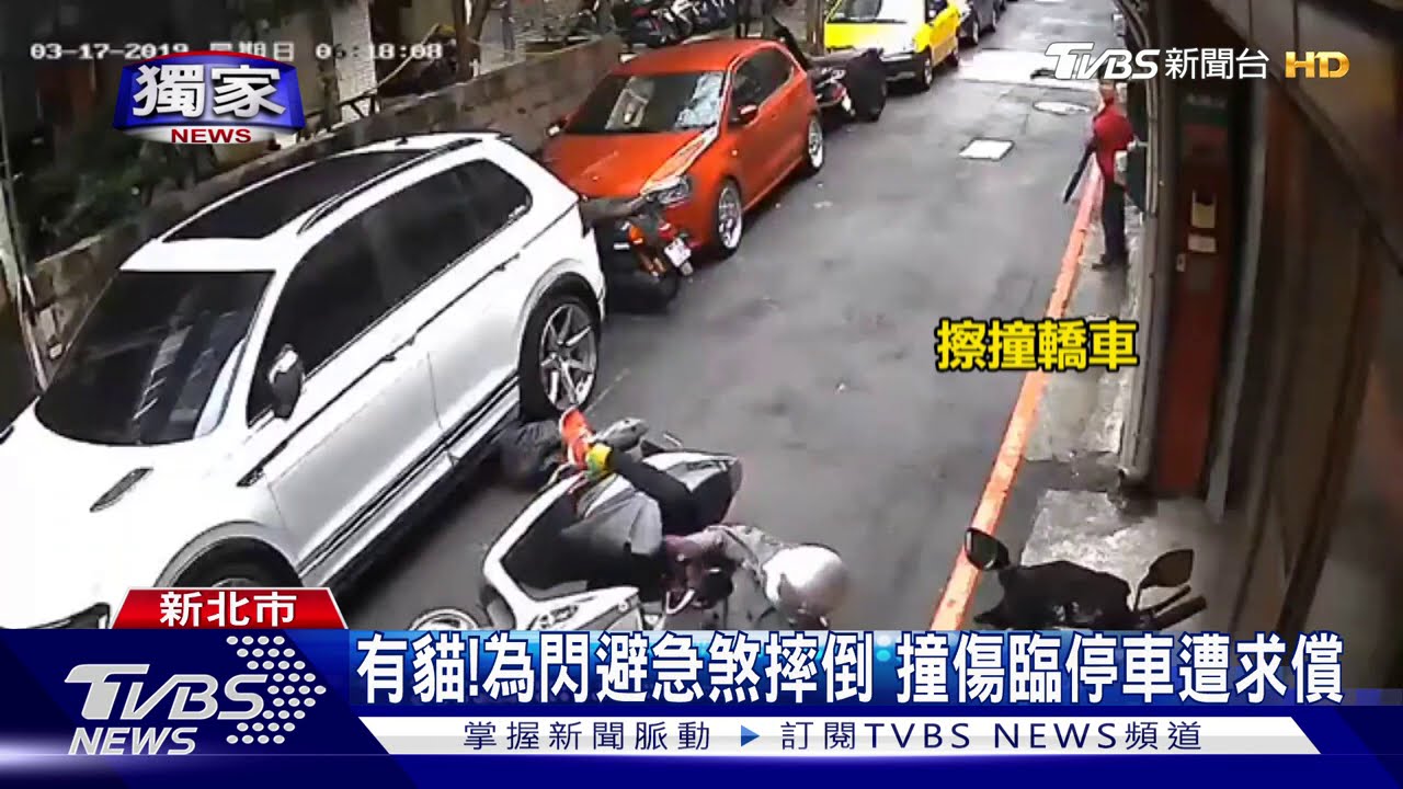 有貓！為閃避急煞摔倒　撞傷臨停車遭求償