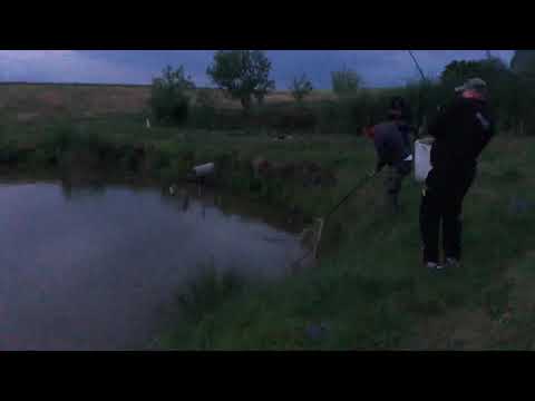 Somn pe Pescăria Seceani