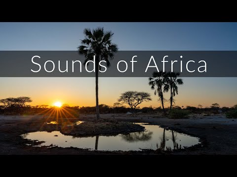 The relaxing sounds of the African savannah at dawn