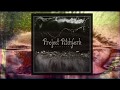 Project Pitchfork -  Akkretion