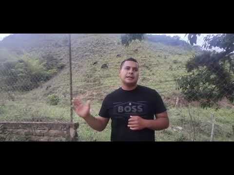 CONTAMINACIÓN DEL AIRE EN LA VEREDA ALTAMIRA, ARGELIA CAUCA