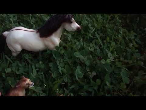 (Breyer horse movie) The Horse King part 13 Scar Becomes King