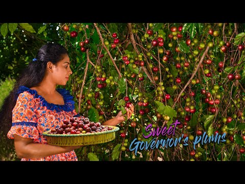 image-Why is it called plum duff?