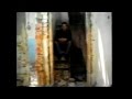 Petar Pan Ljubav Novac Strast Video Spot