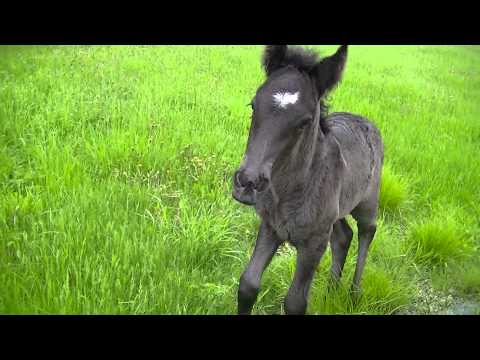 Qara and Sweet Taboo - Kisses for Grandma ;-)