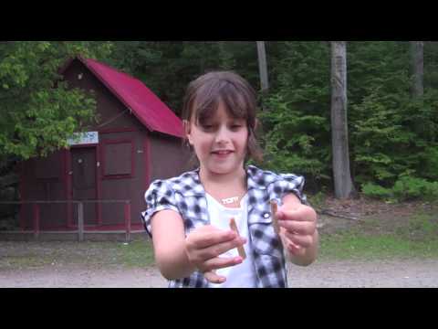 Nitzanim Reversed 2011