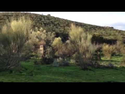 Las pilas en Mesas de Ibor