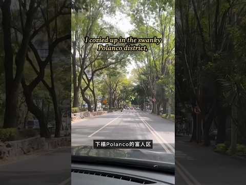 小国护照入境墨西哥容易吗？墨城的夜晚安全吗？ #多米尼克护照 #多米尼克 #墨西哥