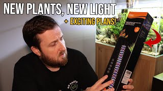 NEW PLANTS, NEW LIGHT, Aquarium Changes + Exciting plans!