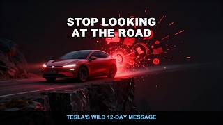Tesla Posted 17 Times in 12 Days — And It Was All FSD