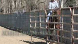 Monty Roberts on Backing Up