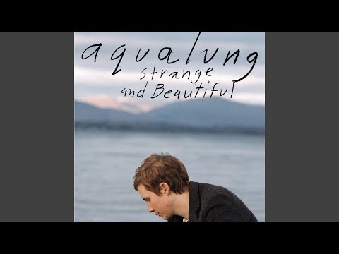Breaking My Heart video