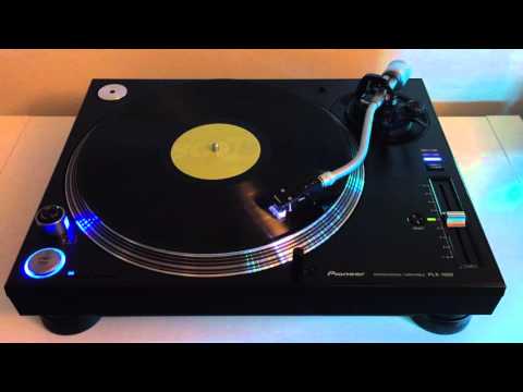 Zendid - Hold Choice