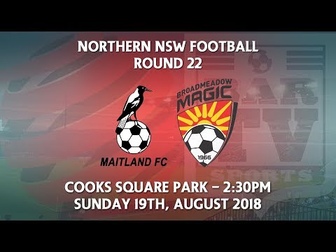 2018 NNSWF NPL Round 22 - Maitland Magpies FC v Broadmeadow Magic