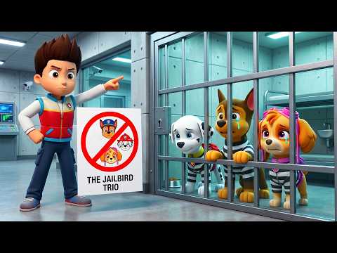 ¡CHASE, MARSHALL y SKYE está encerrada en la CÁRCEL! ¿¡Qué les hizo RYDER!? | PAw PaTRol en Español