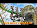 Mandrill Mayhem POV On Ride World Of Jumanji Chessington World Of Adventures Resort