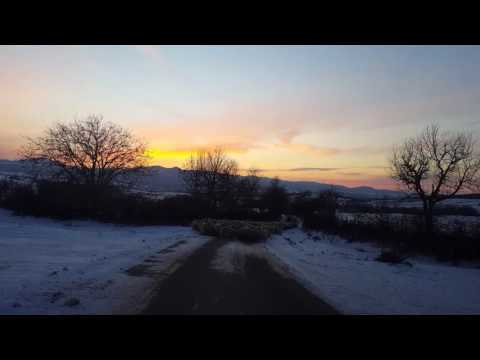 Oi in mijlocul drumului