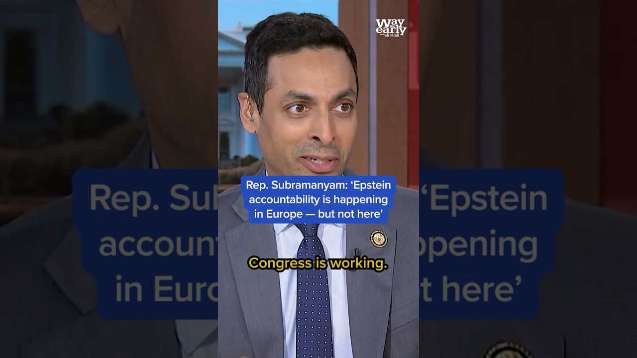 'Epstein accountability is happening in Europe – but not here': Rep. Subramanyam