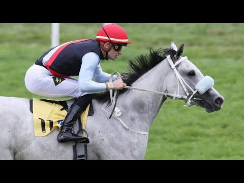 THREE HAVANAS wins the G3 Sparkassen Holstein Cup / Hamburger Stuten Meile