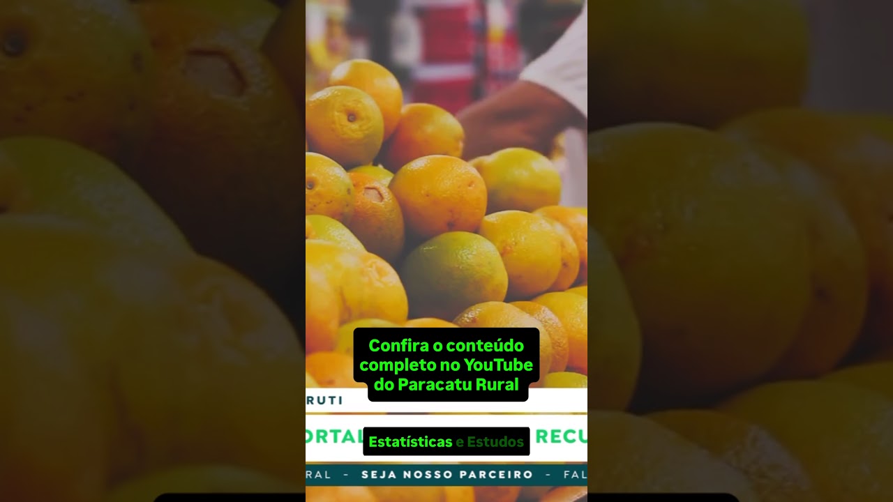 Preços de hortaliças e frutas recuam nas Ceasas